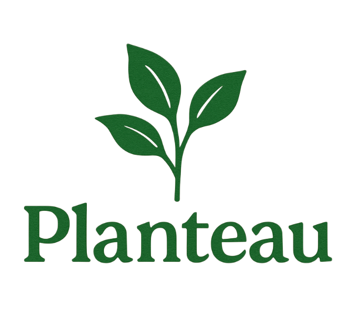 Planteau